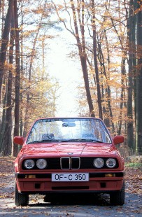 BMW-318i-Cabrio-1990-06