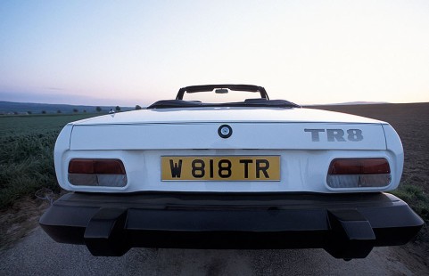 Triumph-TR8-1981-06